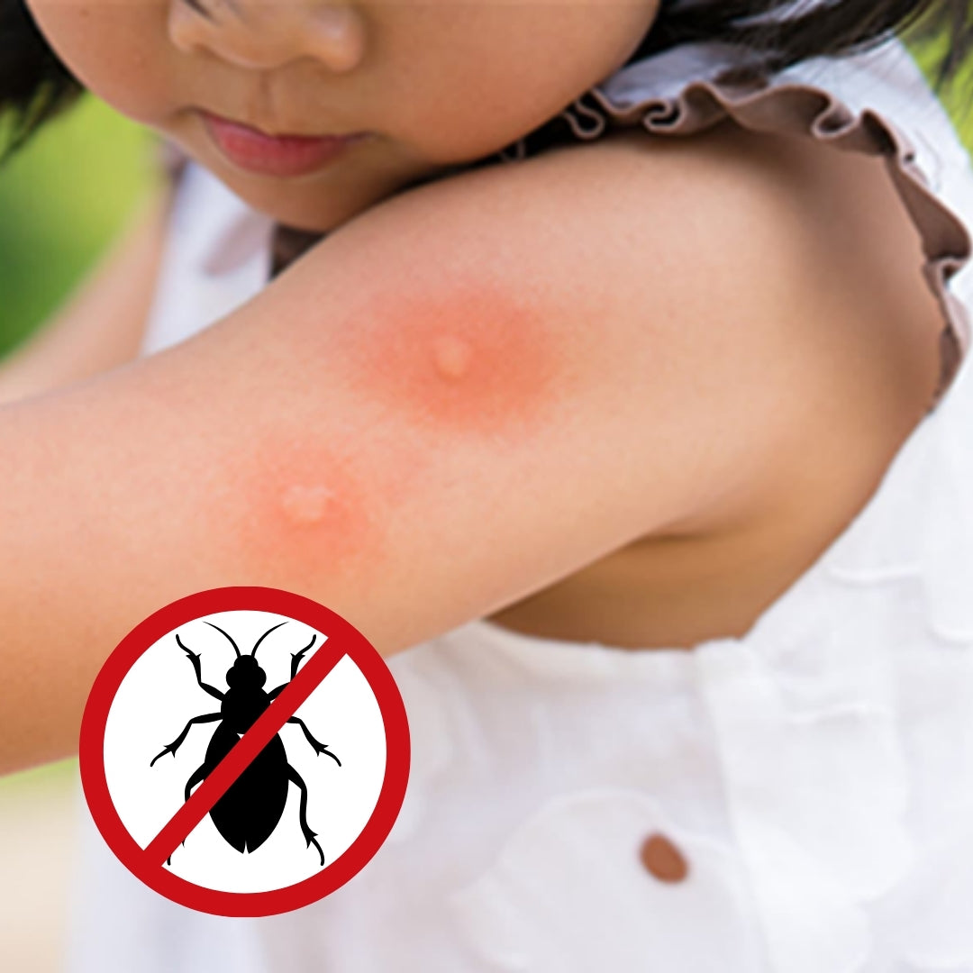 CleanOva™ – Kimyasalsız UV-C Ortam Temizleyici